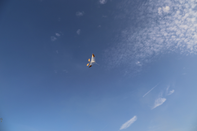 Praying before Examination at Dong Cao Pagoda – Thanh Hoa