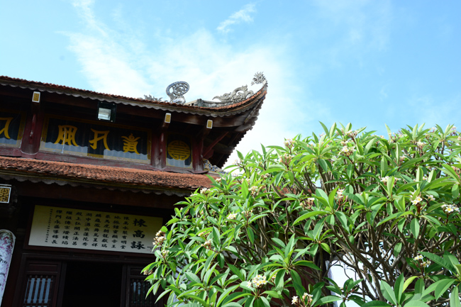 Giảng pháp tại chùa Phong Hanh - TP. Hải Dương