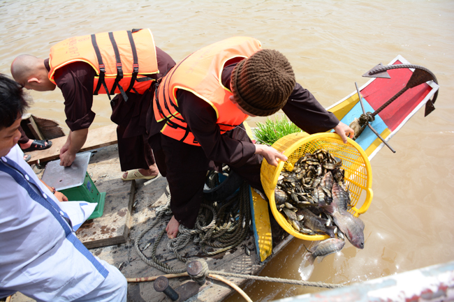 Releasing creatures in An Giang