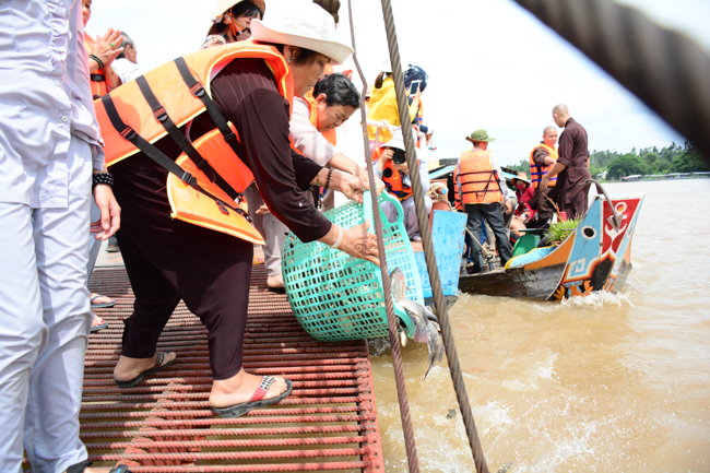 Releasing creatures in An Giang