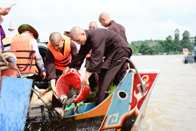 Releasing creatures in An Giang