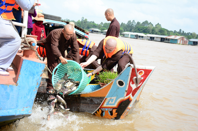 Releasing creatures in An Giang