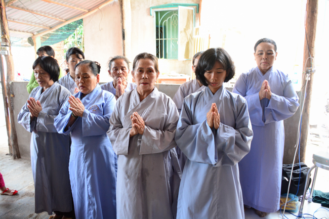Releasing creatures in An Giang