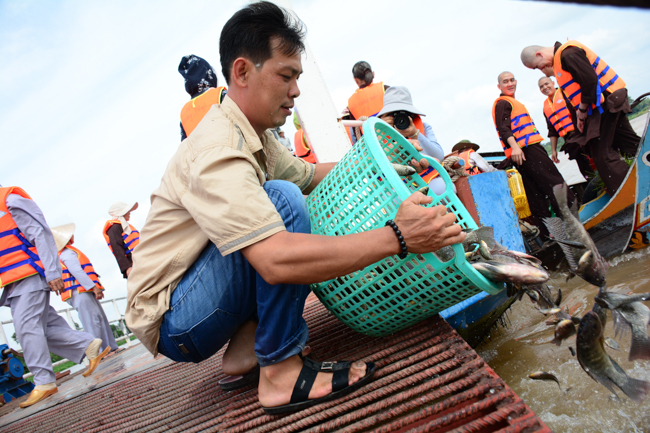 Releasing creatures in An Giang