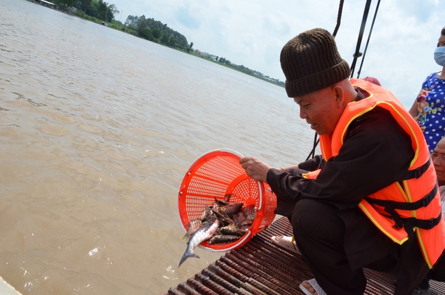 Releasing creatures in An Giang