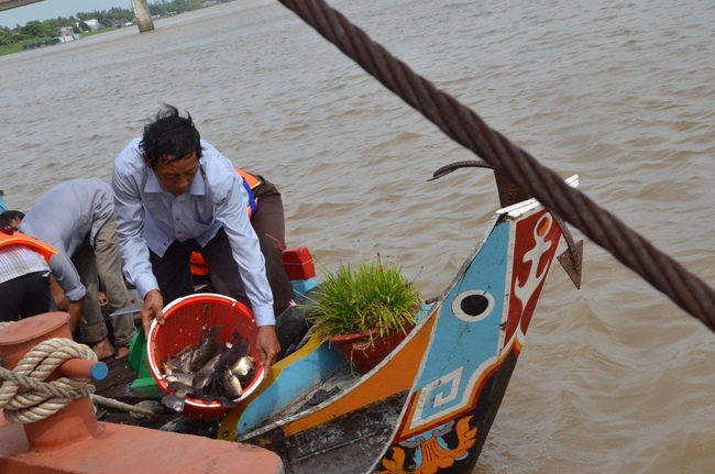 Releasing creatures in An Giang