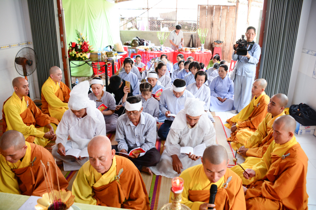 Releasing creatures in An Giang
