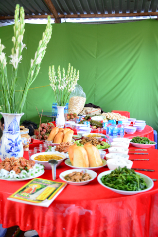 Releasing creatures in An Giang