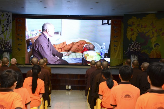 Bộ Phim Sen Trên Xứ Tuyết