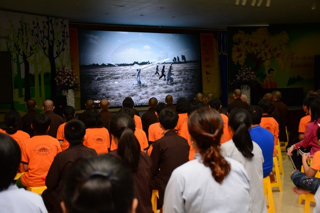 Bộ Phim Sen Trên Xứ Tuyết