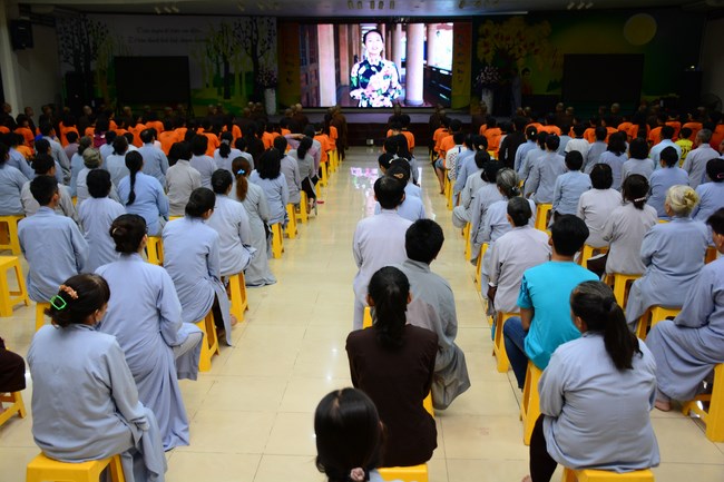 Bộ Phim Sen Trên Xứ Tuyết