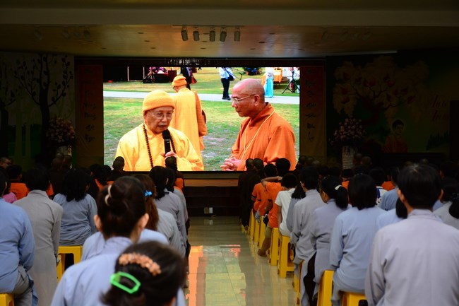 Bộ Phim Sen Trên Xứ Tuyết