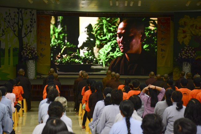 Bộ Phim Sen Trên Xứ Tuyết