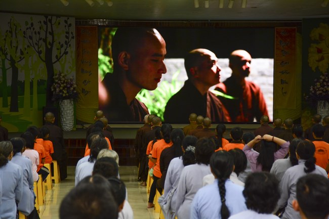 Bộ Phim Sen Trên Xứ Tuyết