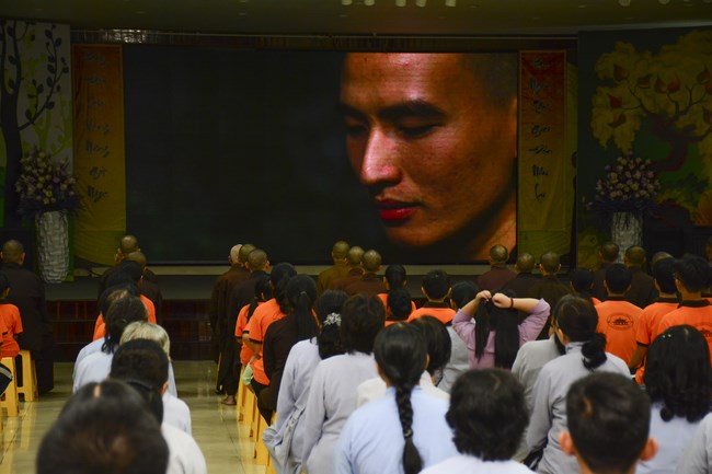 Bộ Phim Sen Trên Xứ Tuyết