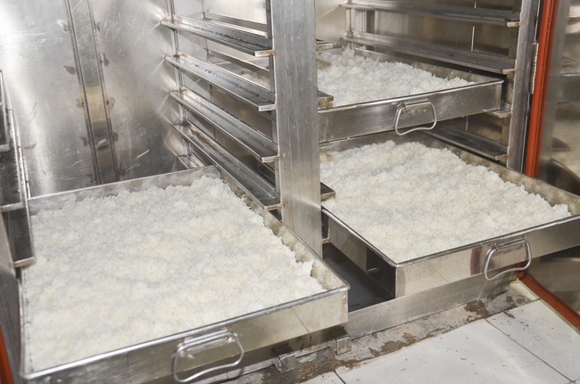 One Day Cultivation of reciting the Buddha’s name at Hoang Phap Cambodia