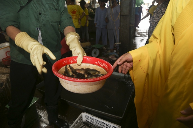 Giving  vegetarian rice portions and release creatures at Dong Cao Pagoda - Thanh Hoa