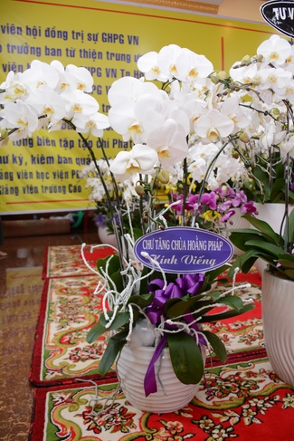 Lễ viếng Thượng tọa Thích Thiện Minh