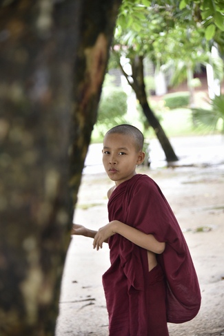 Visiting Mahasi Sasana Yeiktha Monastery and Dai Phuoc Temple in Myanmar