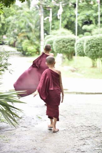 Visiting Mahasi Sasana Yeiktha Monastery and Dai Phuoc Temple in Myanmar
