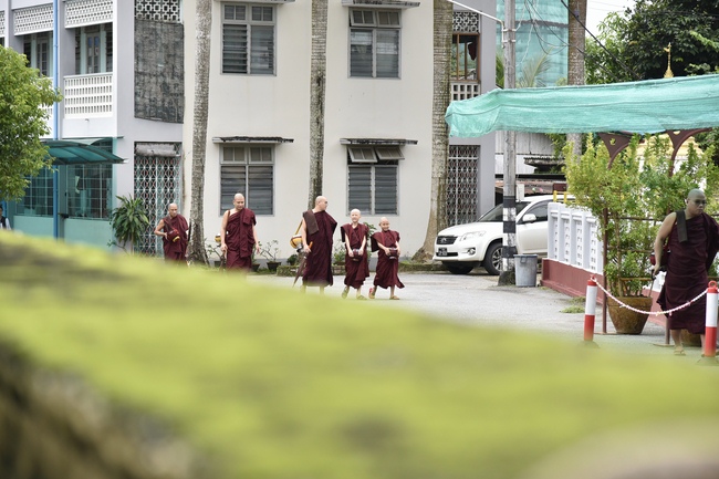 Visiting Mahasi Sasana Yeiktha Monastery and Dai Phuoc Temple in Myanmar