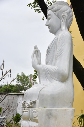 Visiting Mahasi Sasana Yeiktha Monastery and Dai Phuoc Temple in Myanmar