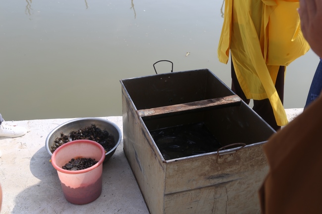 Giving vegetarian rice portions and releasing creatures at Dong Cao Pagoda - Thanh Hoa