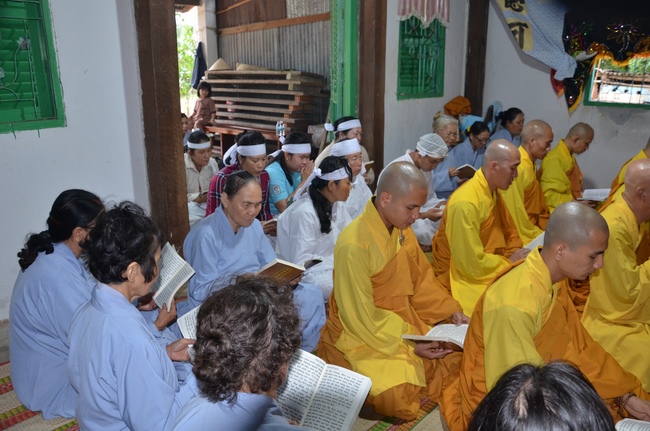 Life-release in Phu Quoc