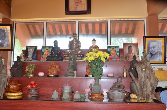 Life-release in Phu Quoc