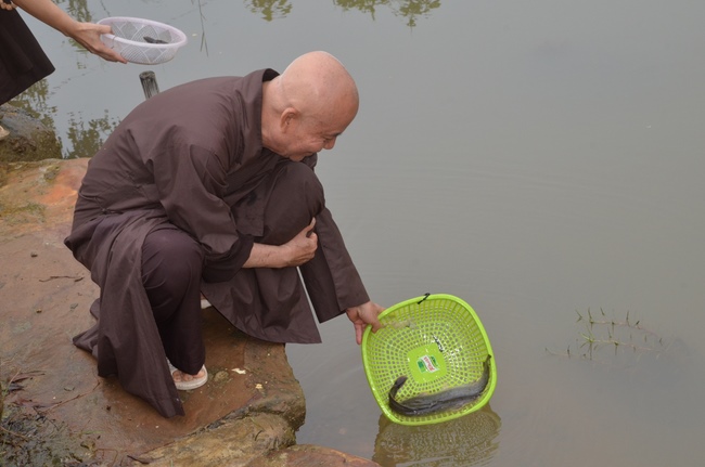 Life-release in Phu Quoc