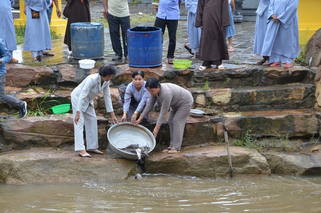 Life-release in Phu Quoc