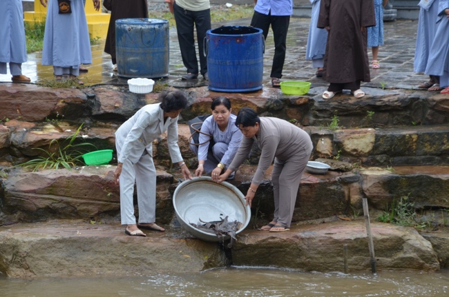 Life-release in Phu Quoc