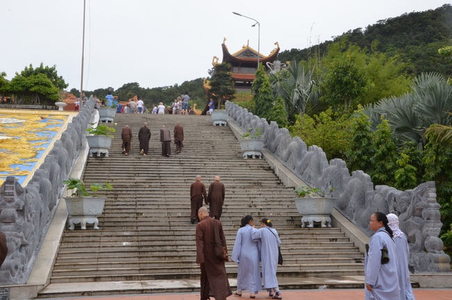 Life-release in Phu Quoc