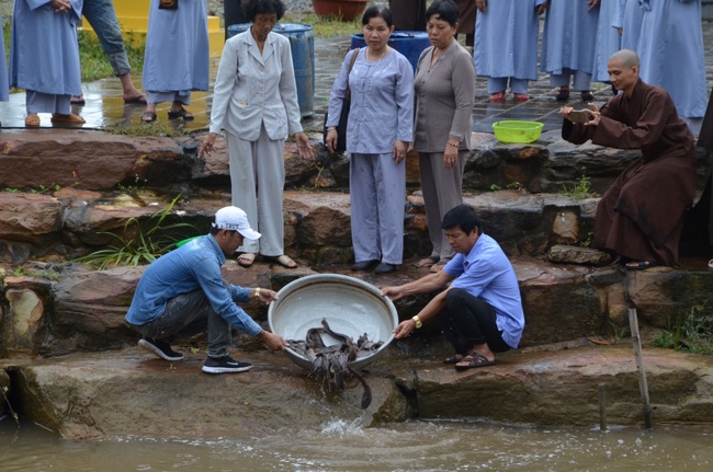 Life-release in Phu Quoc