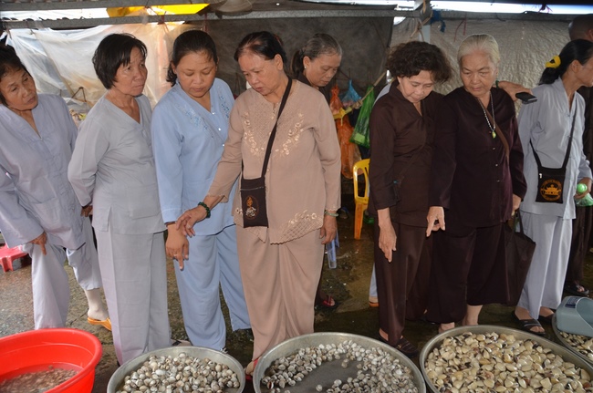 Life-release in Phu Quoc