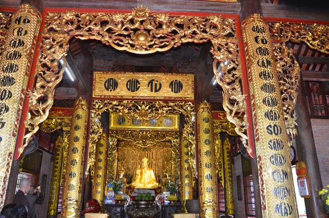 Life-release in Phu Quoc