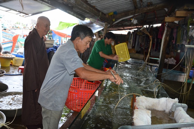 Life-release in Phu Quoc