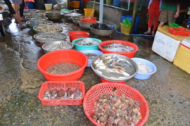 Life-release in Phu Quoc