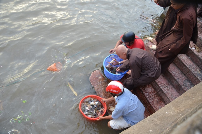Life-release in Phu Quoc
