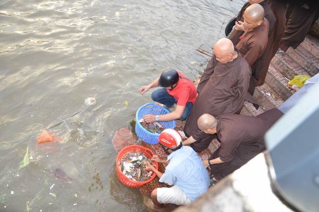 Life-release in Phu Quoc