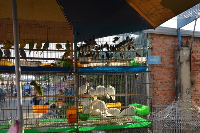 Charity work and houses at Binh Thuan Province