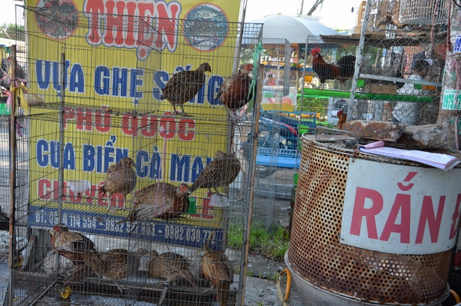 Charity work and houses at Binh Thuan Province