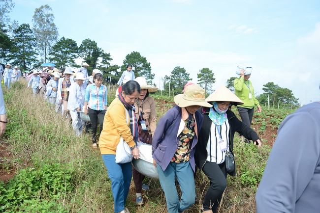 Offering five branches of Hoang Phap pagoda and releasing creatures