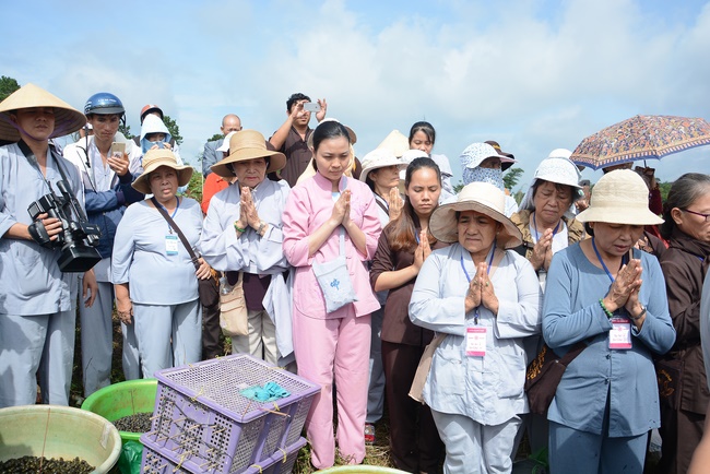 Offering five branches of Hoang Phap pagoda and releasing creatures