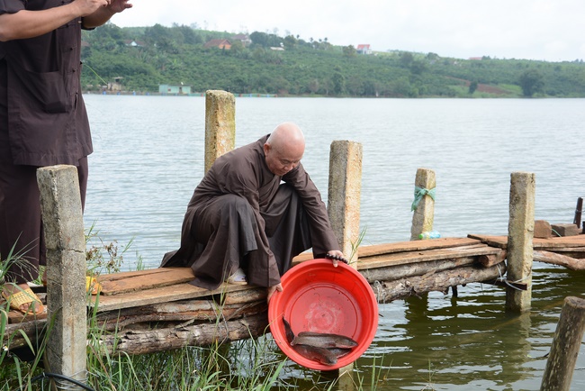 Offering five branches of Hoang Phap pagoda and releasing creatures