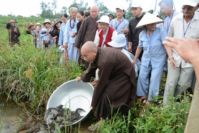 Offering five branches of Hoang Phap pagoda and releasing creatures