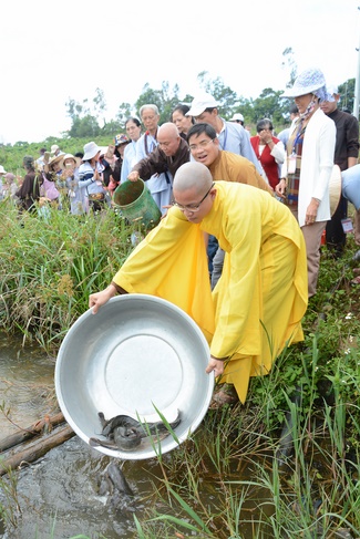 Offering five branches of Hoang Phap pagoda and releasing creatures