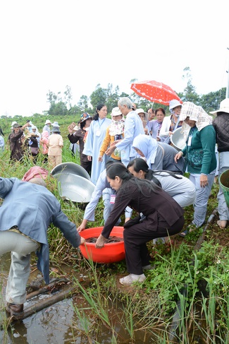 Offering five branches of Hoang Phap pagoda and releasing creatures