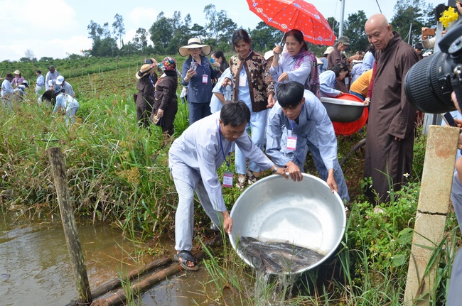 Offering five branches of Hoang Phap pagoda and releasing creatures