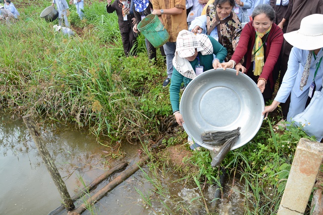 Offering five branches of Hoang Phap pagoda and releasing creatures